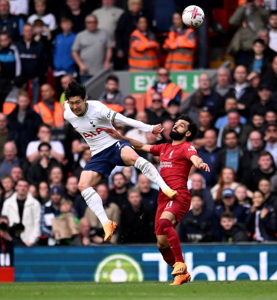 显示了他们 显示了他们