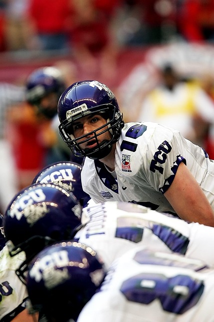 球迷们原本 球迷们原本