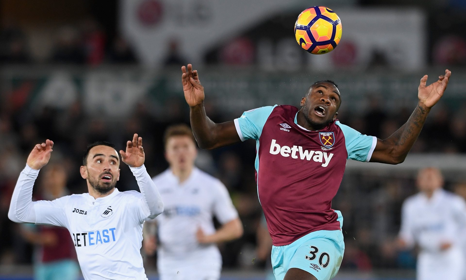 自进入职业 自进入职业